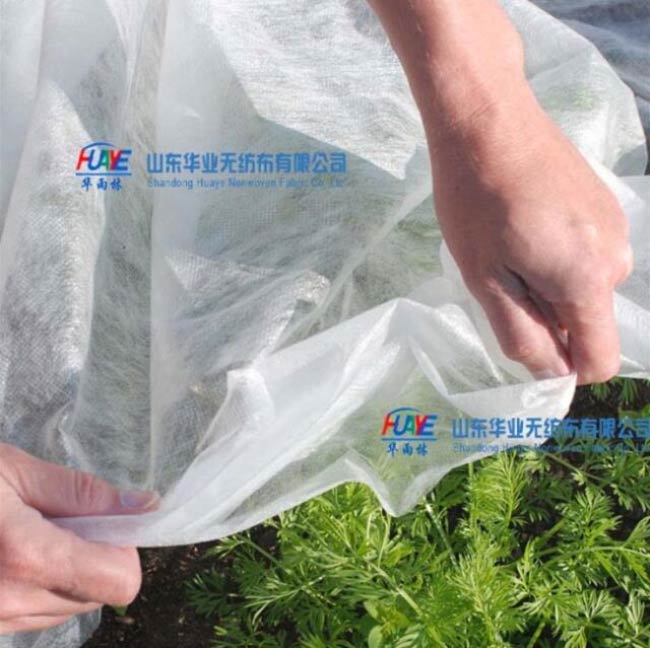 農(nóng)用無(wú)紡布