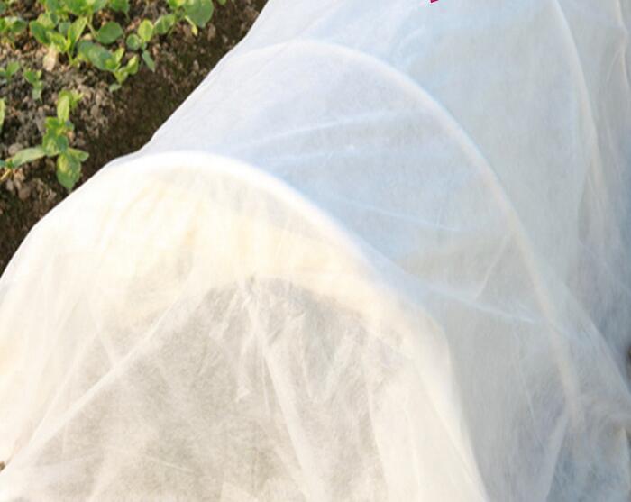水稻無紡布產(chǎn)品細節(jié)圖